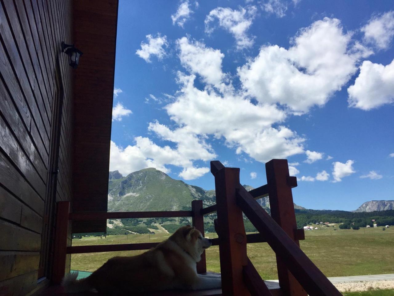 B&B Izvor Zabljak  Exterior photo